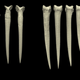 Left: Bone daggers made from human femurs. Right: Bone daggers made from Cassowary tibias.